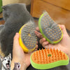 Brosse de toilettage à vapeur électrique pour chats et chiens