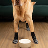 Anti-Slip Dog Socks for Hardwood Floors – Extra-Thick Grip, Protective Paw Wear