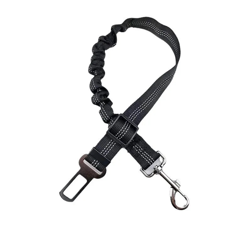 Ceinture de sécurité pour voiture pour animal noir, réglable avec élastique amortisseur et clip métallique.