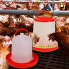 Automatic Poultry Waterer & Feeder 1.5kg / 3L with Footrest