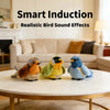 A fluffy, colorful bird toy with realistic feathers is displayed on a white table.