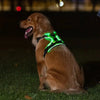 Rechargeable LED Dog Harness with Reflective Strips