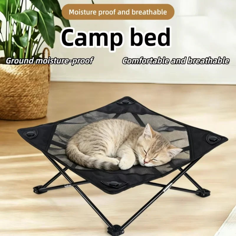 A cat is resting on a black foldable elevated pet cot with breathable mesh on a wooden floor.