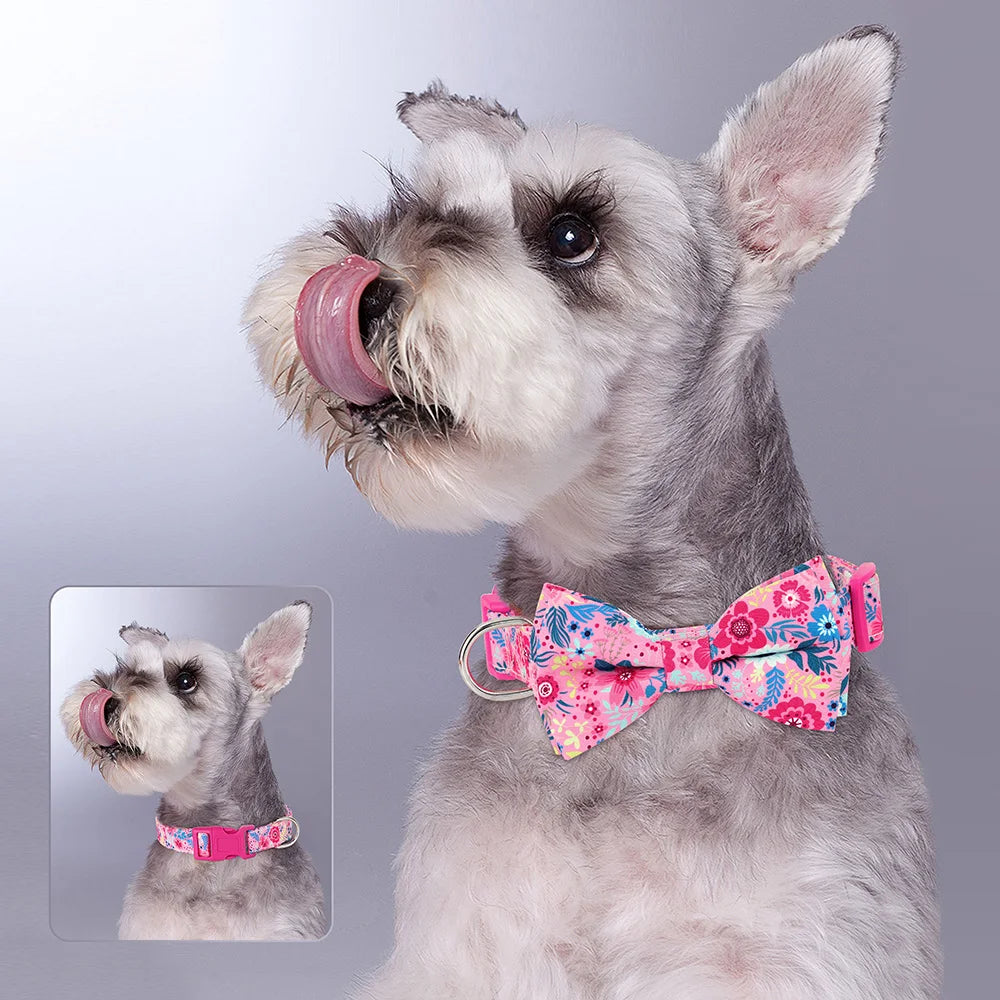 A light gray dog with white fur is shown wearing a pink floral nylon collar with an adjustable bowknot.