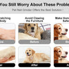 Rechargeable Electric Pet Nail Grinder for Dogs and Cats