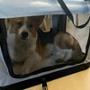 Transportín Plegable para Mascotas con Interior Acolchado