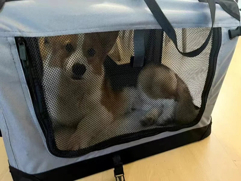 Transportín Plegable para Mascotas con Interior Acolchado