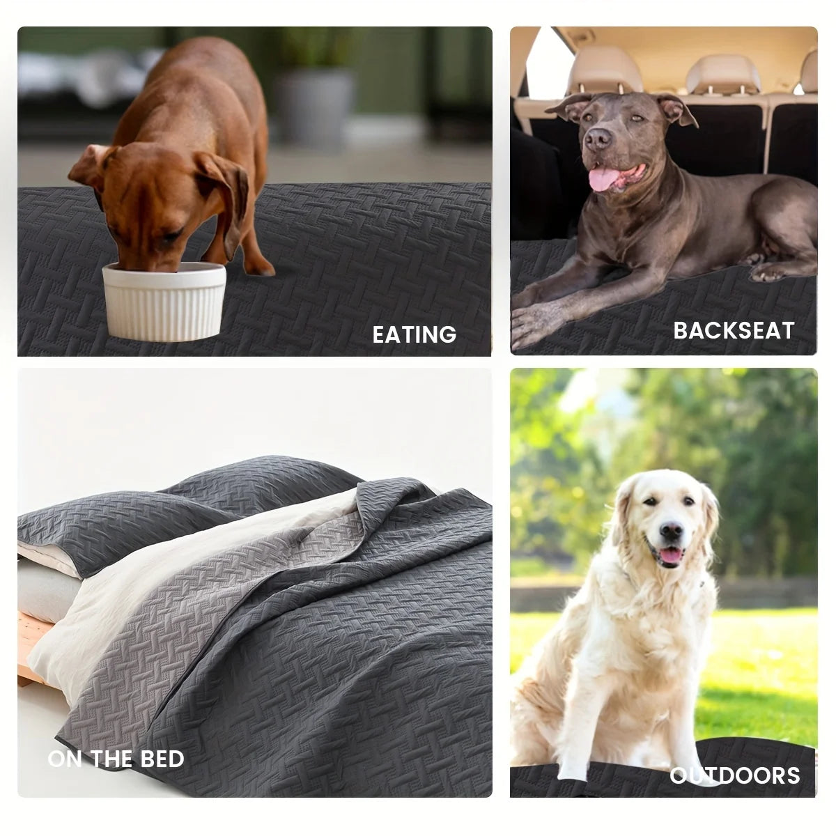 Reversible Anti-Hair Waterproof Pet Mat with Sofa Cover