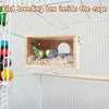 A wooden bird breeding box with a circular viewing panel is placed inside a wire cage.