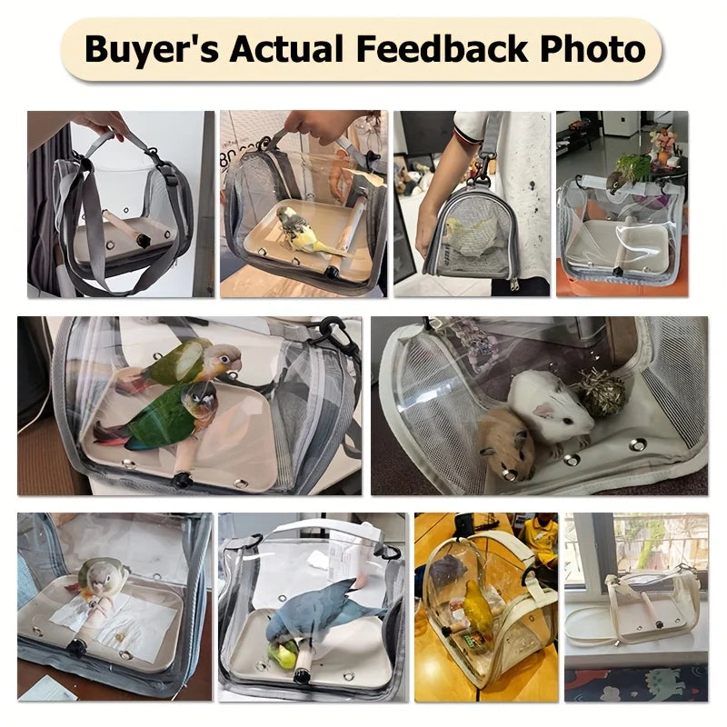 Transparent Bird Carrier with Wooden Perch