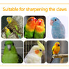 Colored Quartz Sand Bird Perch with Natural Wood Base