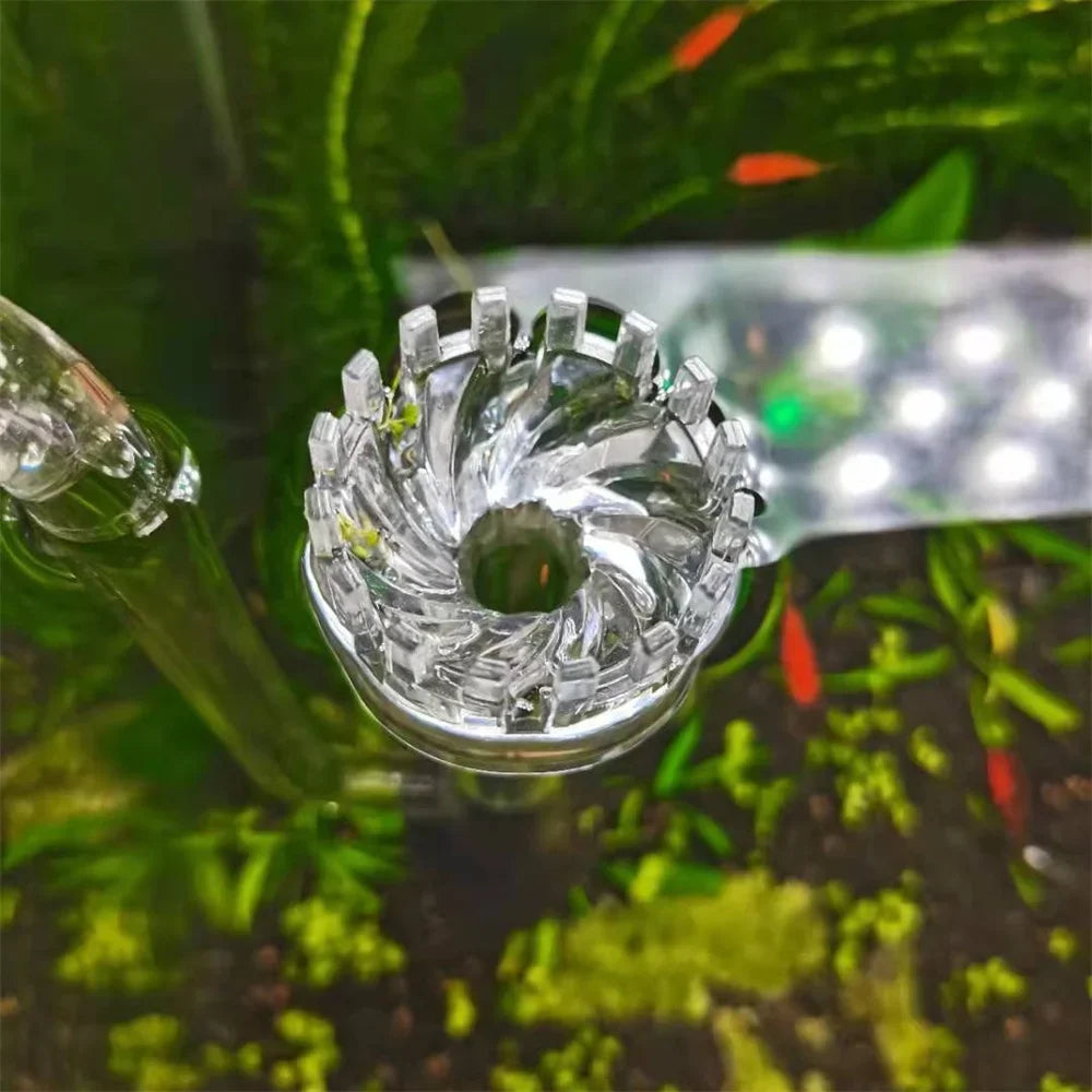 Klares Glaslilienrohr mit dekorativem, stacheligen Kopf zur Aquariumwasserzufuhr.