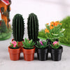 Set of 5 Miniature Potted Plants for Dollhouse Scenes