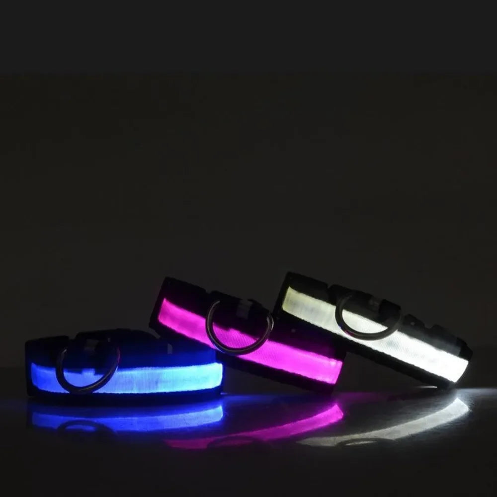A reflective LED dog collar displaying three light modes: blue, magenta, and white.