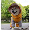 Double-Layer Waterproof Dog Raincoat with Built-in Harness and Detachable Hood