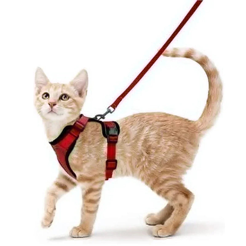 Ausbruchssicherer Katzen-Geschirr mit Leine