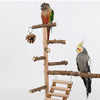 منصة ببغاء من خشب الفلفل مع جسر تأرجح وتسلّق