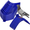 Un perchoir en plastique bleu avec plusieurs encoches courbes et un pigeon dessus.
