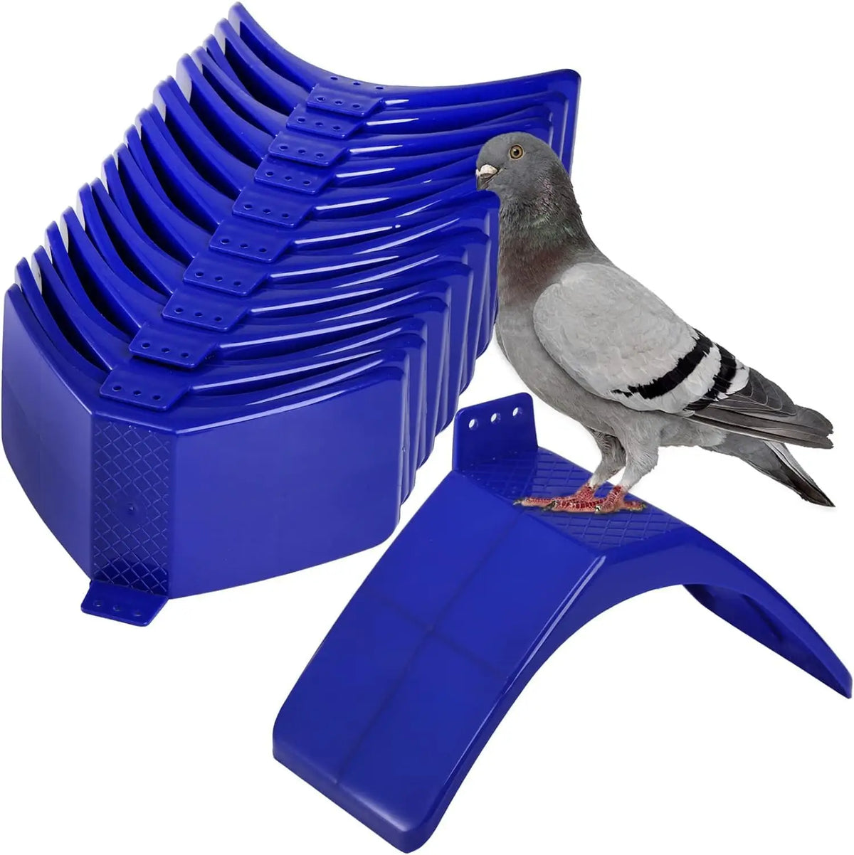 Un perchoir en plastique bleu avec plusieurs encoches courbes et un pigeon dessus.