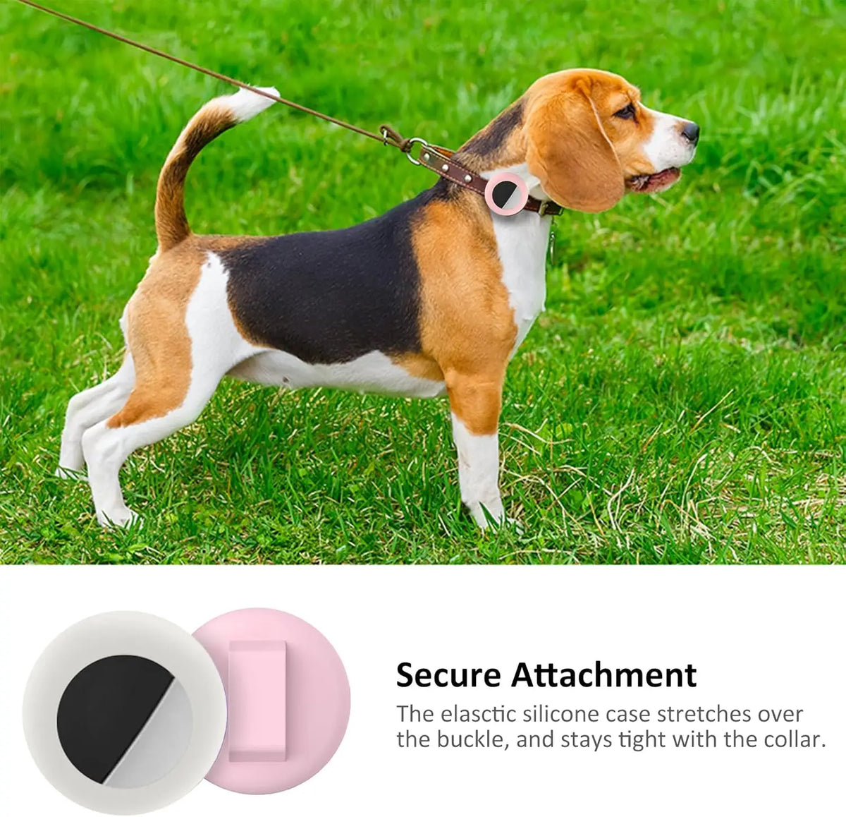A brown and white dog is standing in green grass, wearing a pink silicone collar holder for secure attachment.