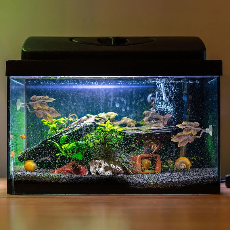 Betta Fish Rest Leaf Aquarium Decoration