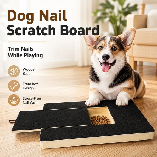 A happy dog is sitting next to a wooden dog nail scratch board with an integrated treat box and sandpaper pad.