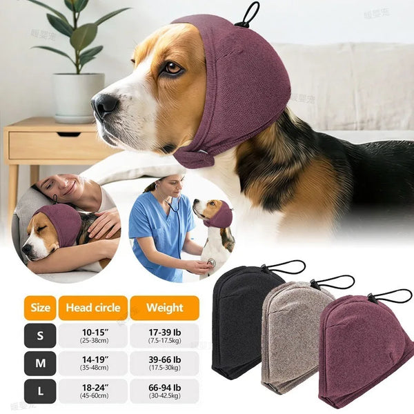Perro marrón y blanco vistiendo un tocado morado relajante, junto a opciones de talla.