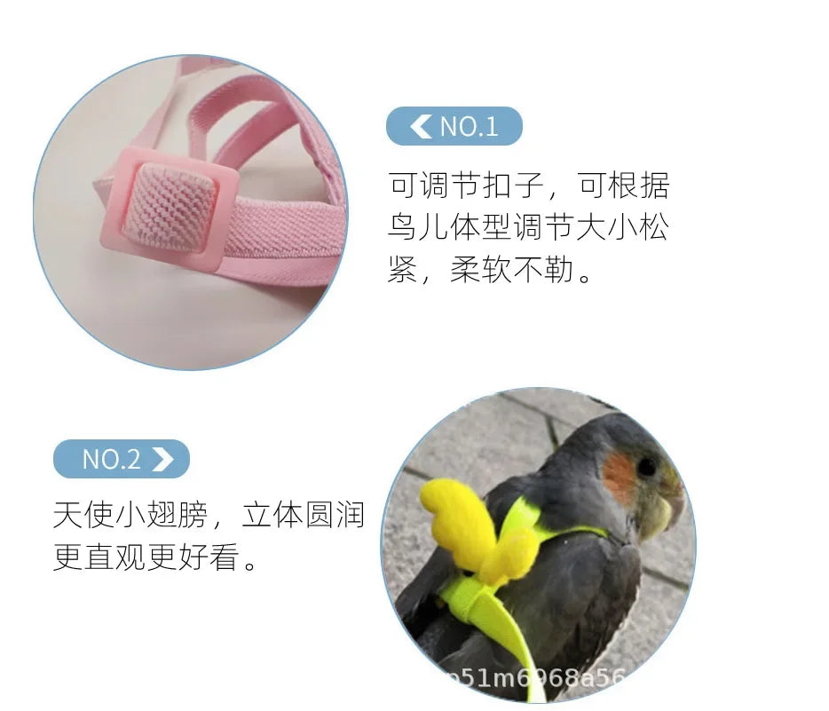 Adjustable Parrot Harness and Leash Set for Small Birds