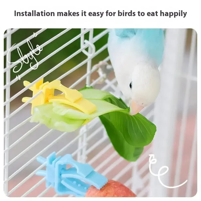 Parrot Food Holder Clip with Chain – Bird Cage Fruit & Vegetable Feeder