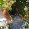 Wall-Mounted Aquarium Plant Basket with Hanging Hook