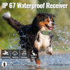 A dog is jumping through water, demonstrating the waterproof capability of an IP67 receiver device.
