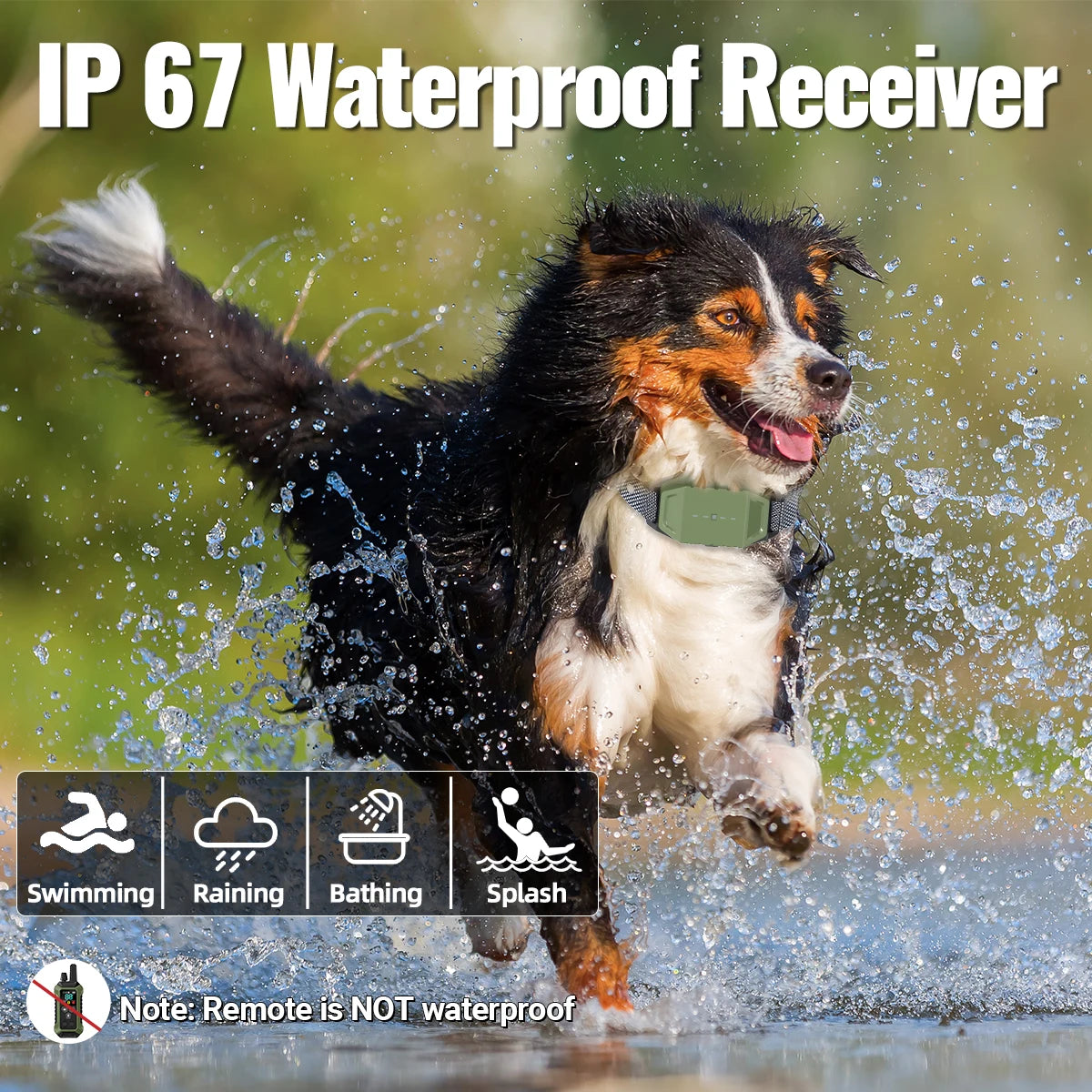 A dog is jumping through water, demonstrating the waterproof capability of an IP67 receiver device.
