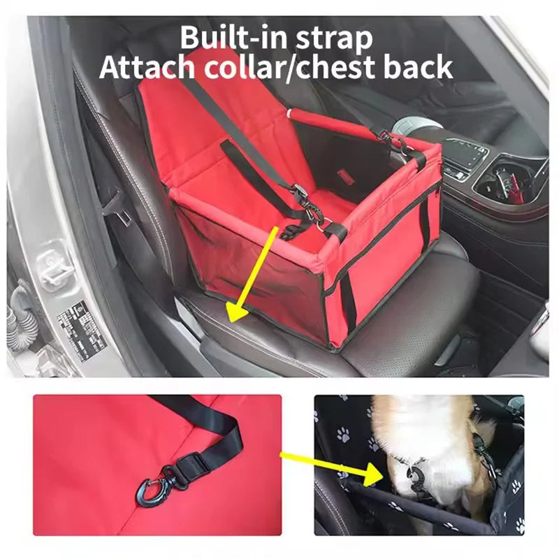 Foldable Car Dog Seat for Small Dogs – Portable Travel Booster with Safety Belt
