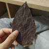 Natural Indian Almond Leaves for Aquarium Water Conditioning