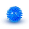 Squeaky Rubber Dog Ball Toy