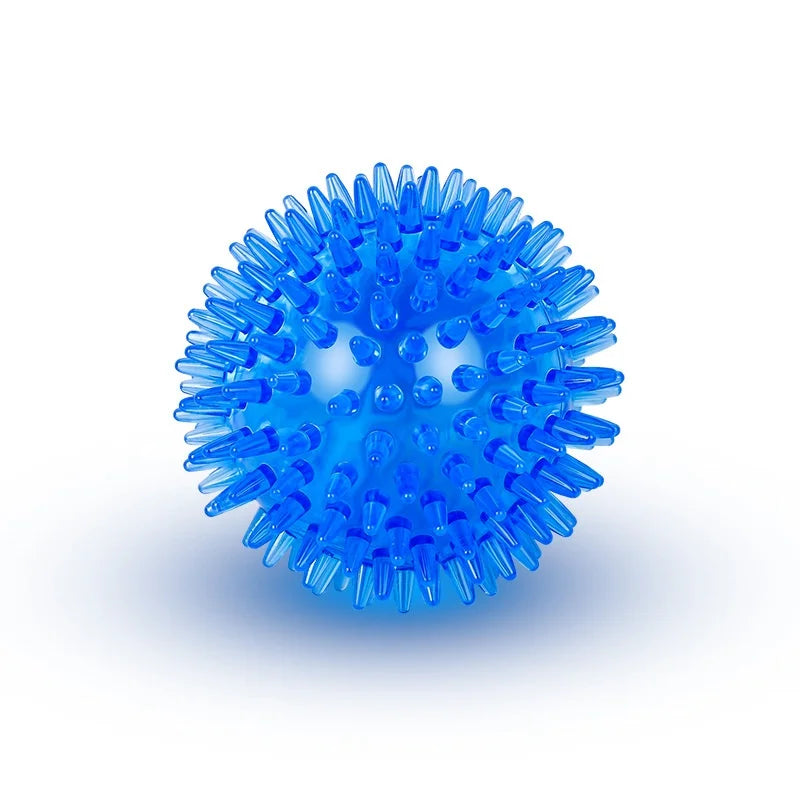 Squeaky Rubber Dog Ball Toy