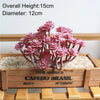 Artificial Succulent Bonsai Plant for Home Decor