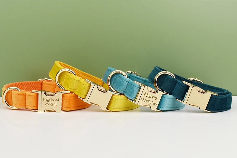A set of three velvet dog collars in orange, yellow, and blue with engraved content tags.