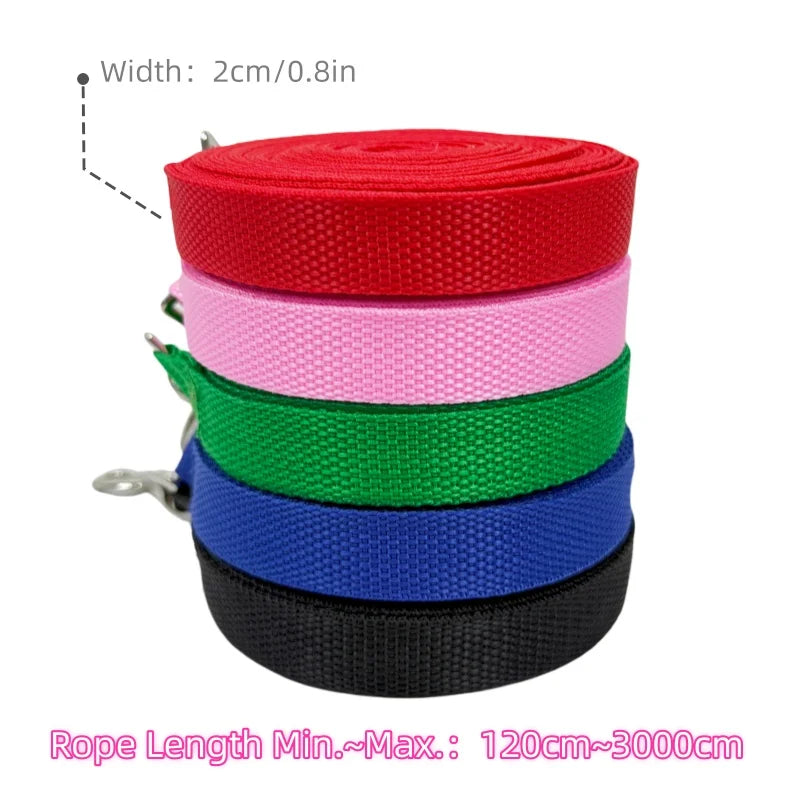 Laisse en Nylon Extensible pour Entraînement en Plein Air
