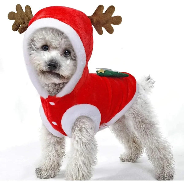 A small, fluffy dog wearing a festive red fleece sweater with deer and Christmas tree print.