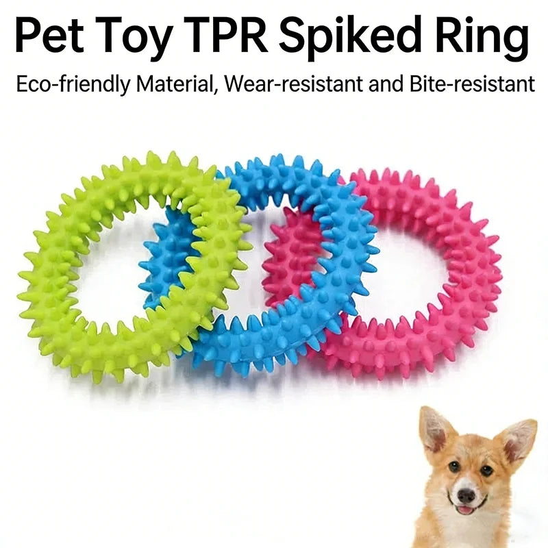 Three colored TPR spiked rings of different sizes laid out next to a small dog's face