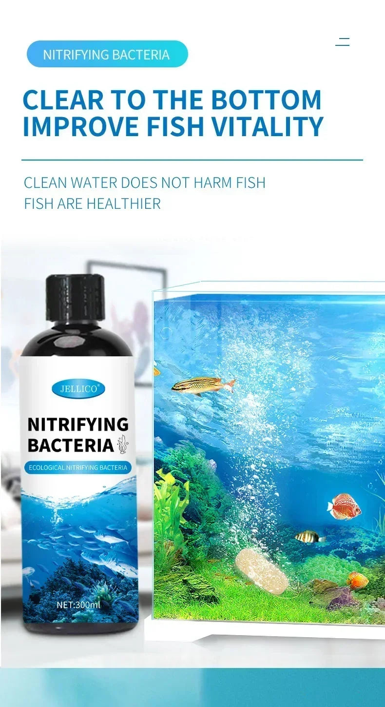 Bactéries nitrifiantes liquides 300ml pour le traitement de l'eau d'aquarium