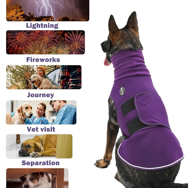 A black dog wearing a purple calming anxiety relief vest, shown in profile.