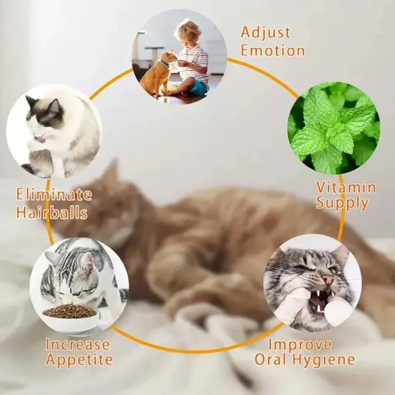 Diagram showing how a rotating catnip ball toy can eliminate hairballs, increase appetite, and improve oral hygiene.