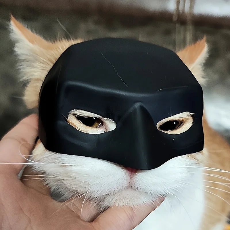 A cat wearing a black bat wing mask is held in a person's hand.
