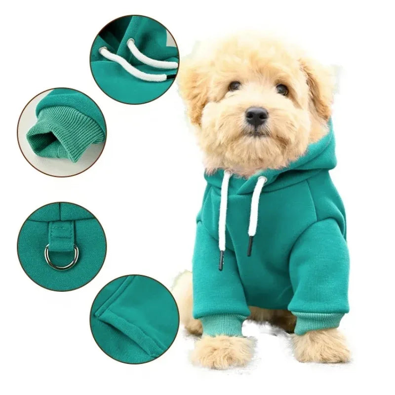 A fluffy golden retriever wearing a teal fleece hoodie for dogs.