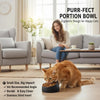 A small orange cat is eating from a black ergonomic pet bowl on a wooden floor.