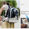 A person is wearing a black transparent backpack designed for pets, showing a clear view of a cat inside.