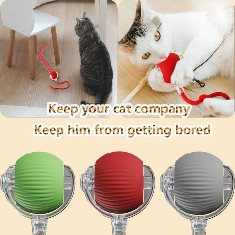 Interactive auto-roll cat ball in green, red, and gray colors with a faux mouse tail