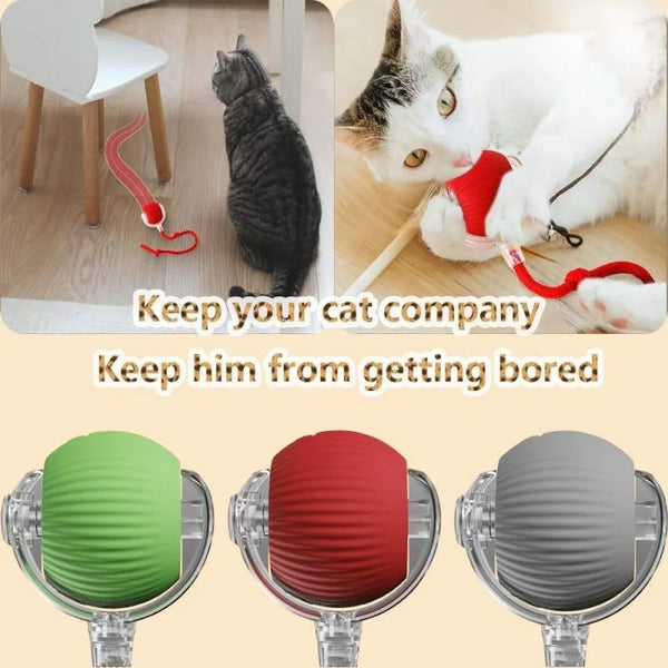 Interactive auto-roll cat ball in green, red, and gray colors with a faux mouse tail